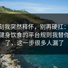 那一刻我突然释怀，别再硬扛：91爆料网健身饮食的平台规则我替你复盘了，这一步很多人漏了